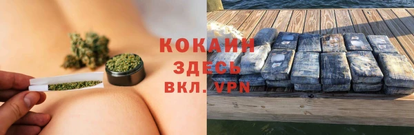 дживик Алзамай